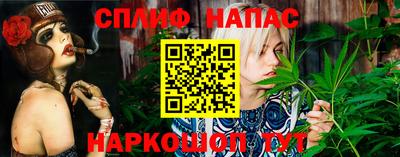 PSILOCYBIN Новозыбков