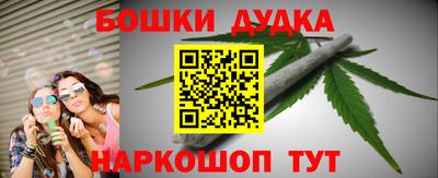 PSILOCYBIN Новозыбков